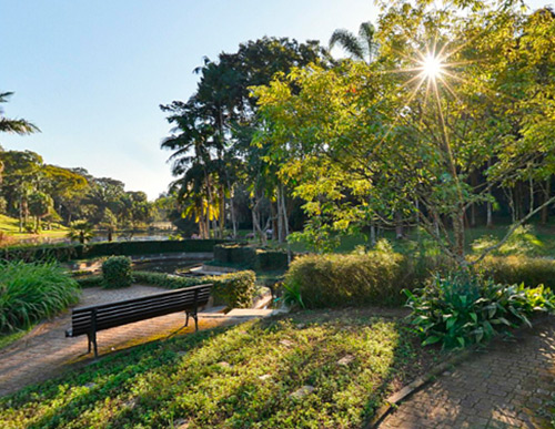 Jardim Botânico de São Paulo
